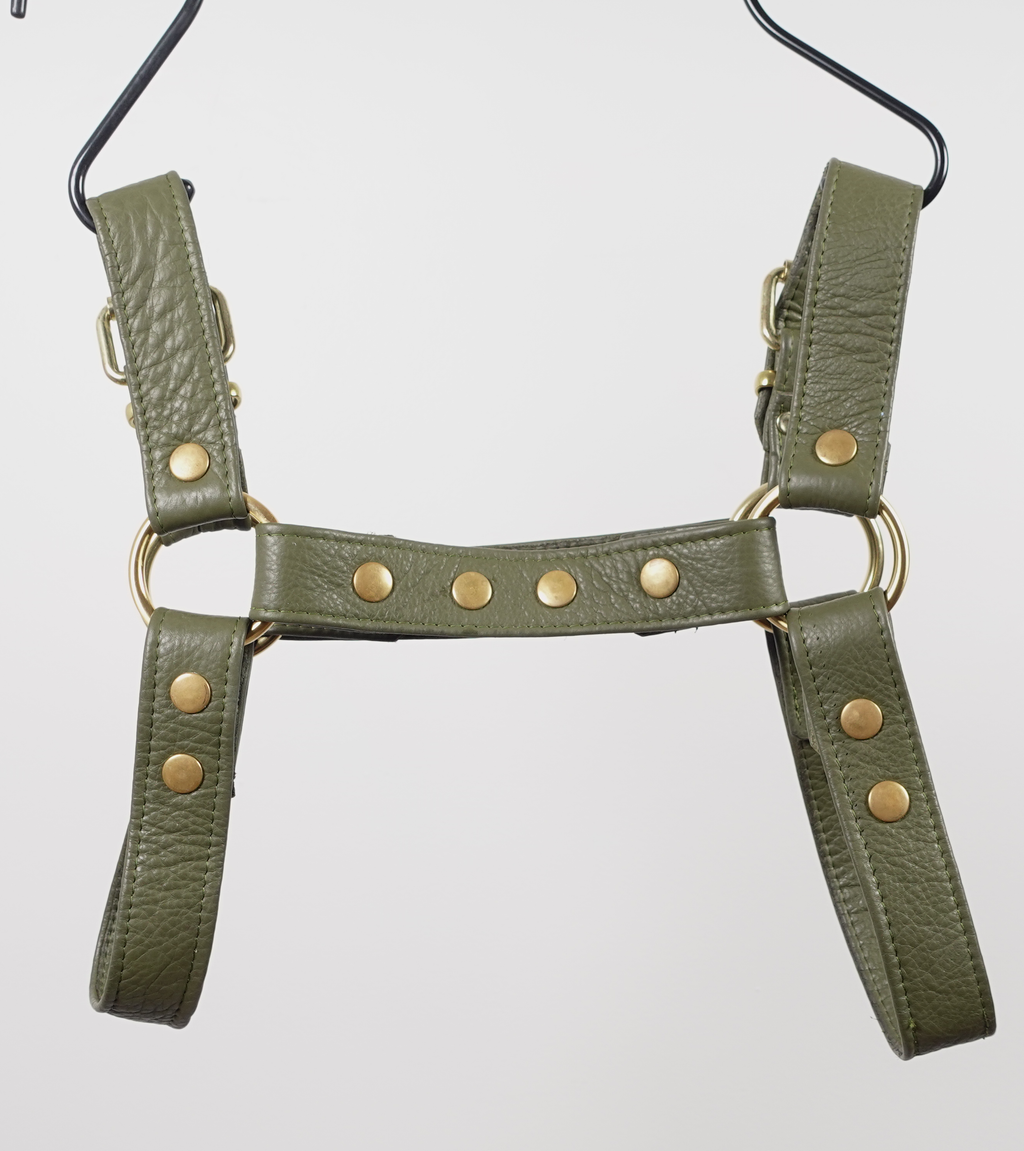 Bulldog 1 | Daddy B's Harness
