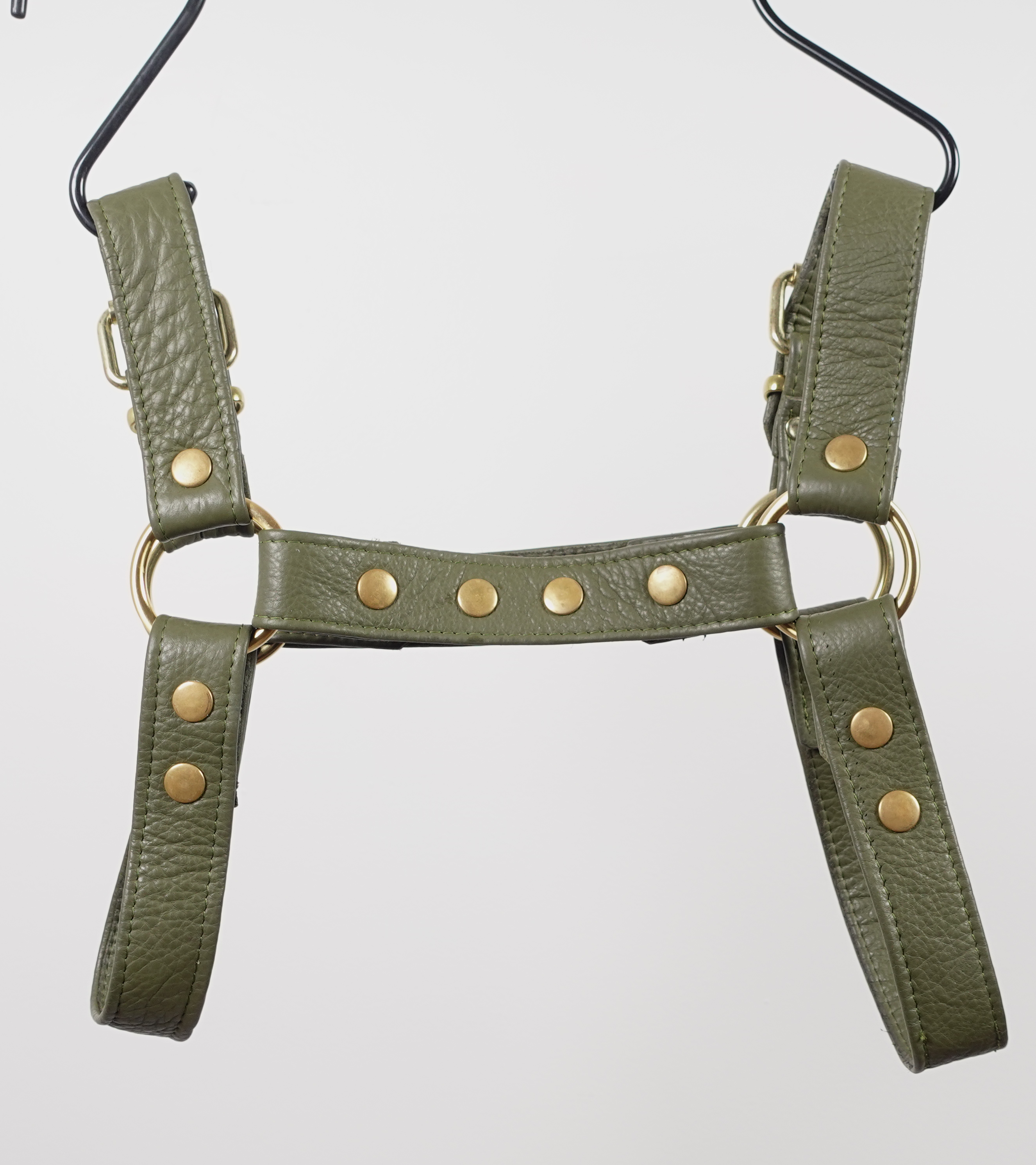 Bulldog 1 | Daddy B's Harness