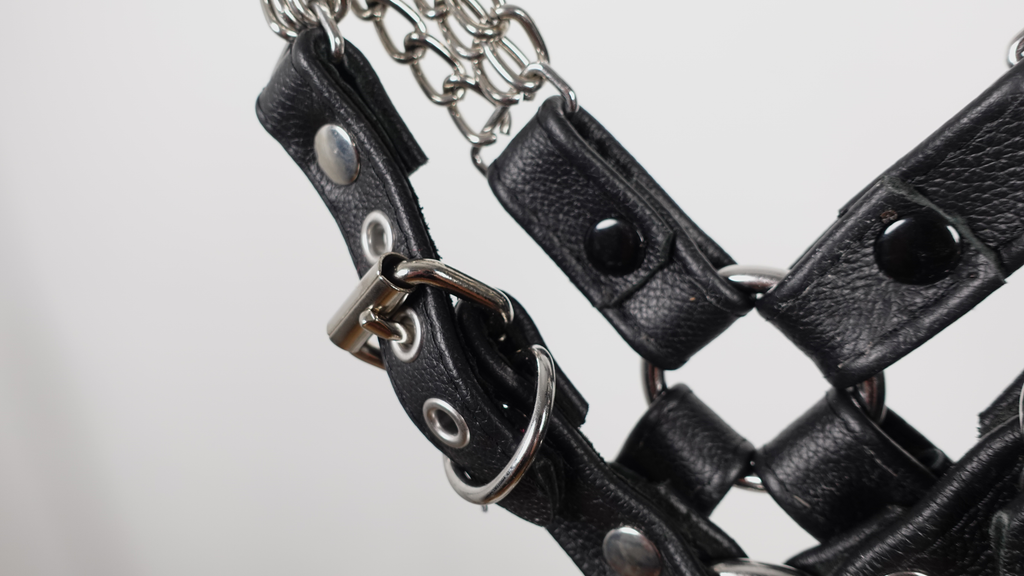 E.BullDog | Renslow Chain | #11