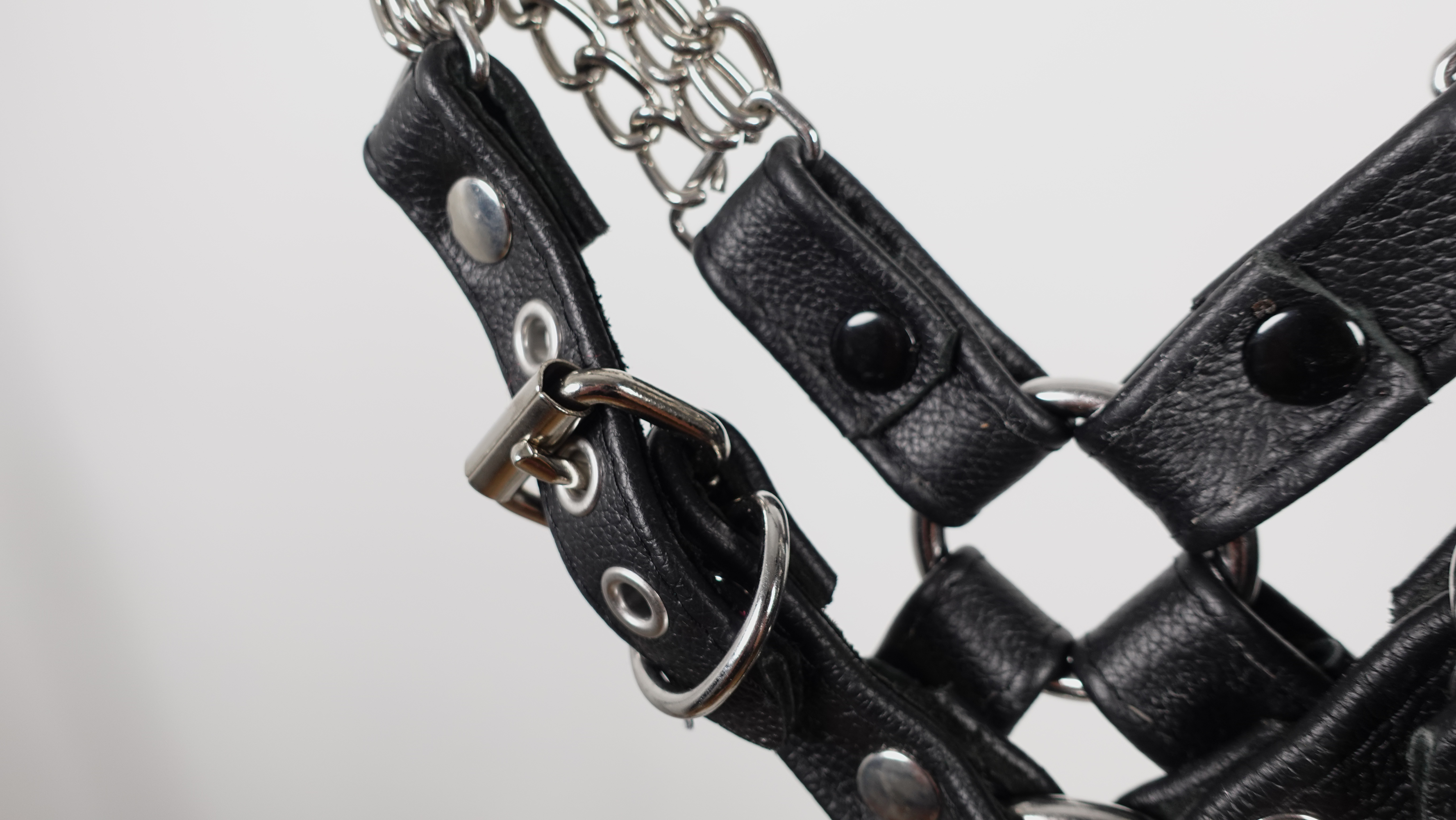 E.BullDog | Renslow Chain | #11