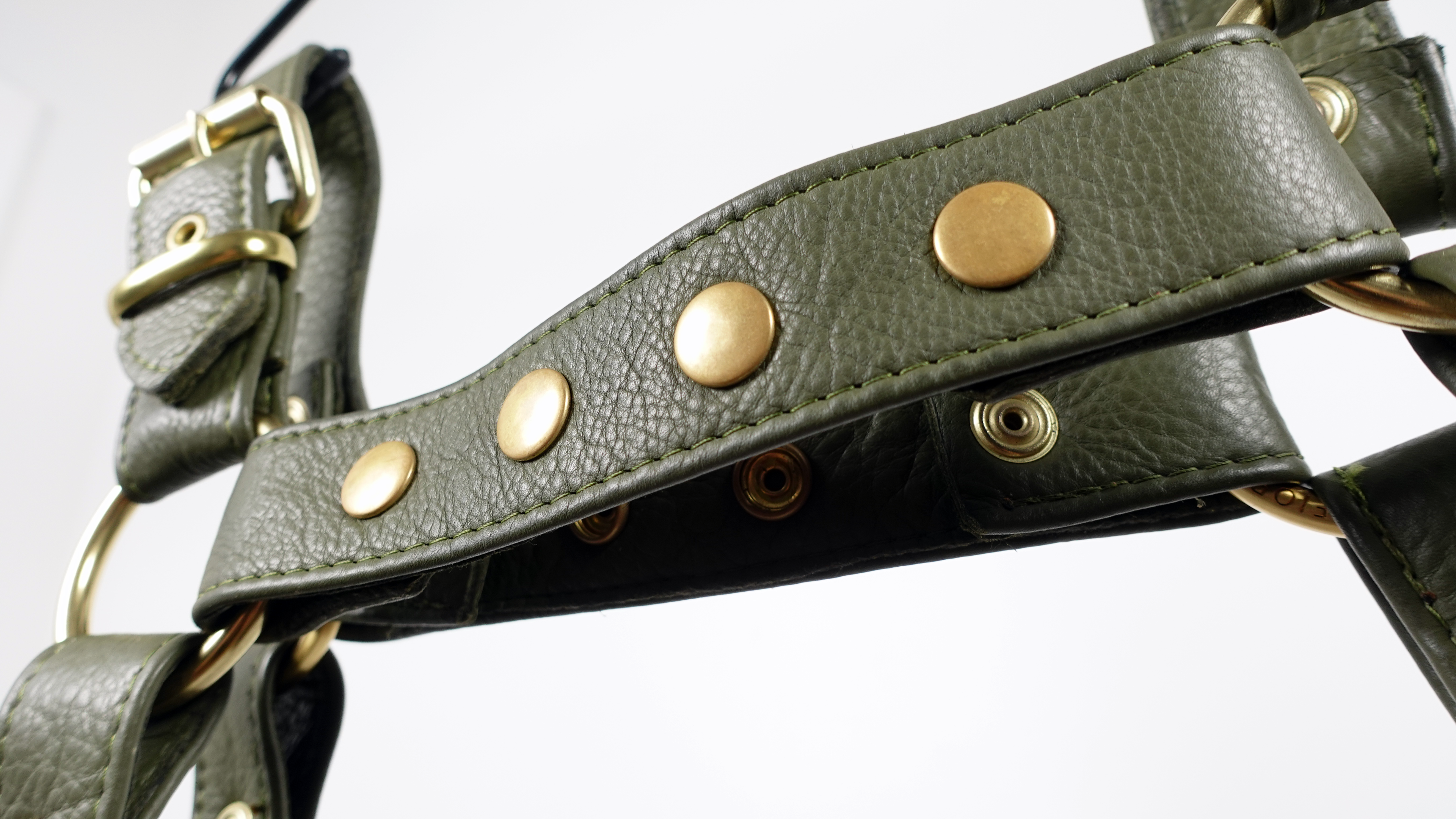 Bulldog 1 | Daddy B's Harness