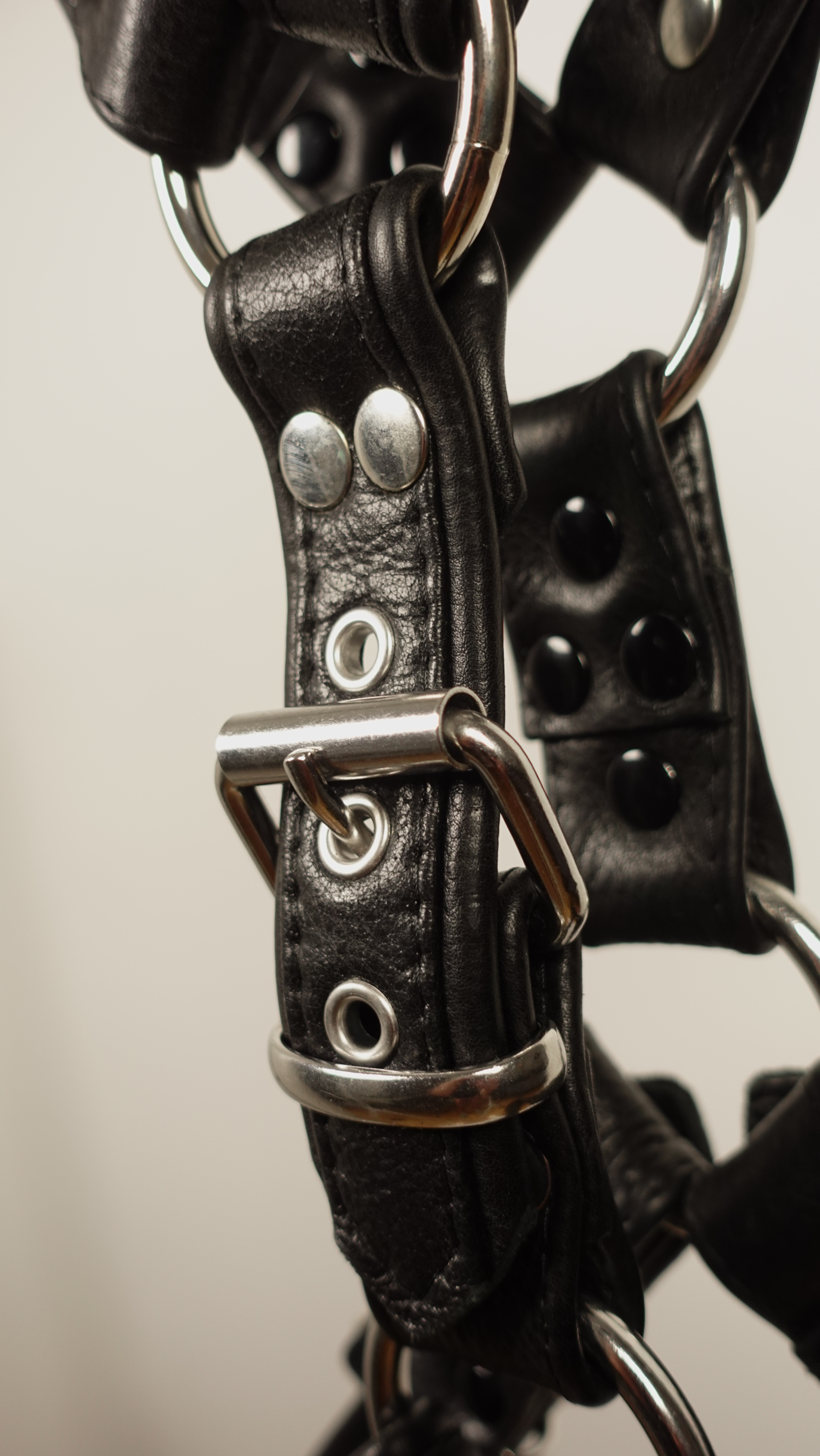 E.Bulldog Harness | #10