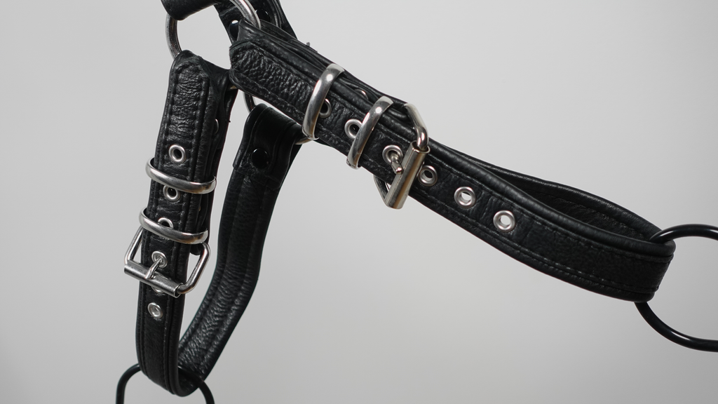 E.Bulldog Harness | #10