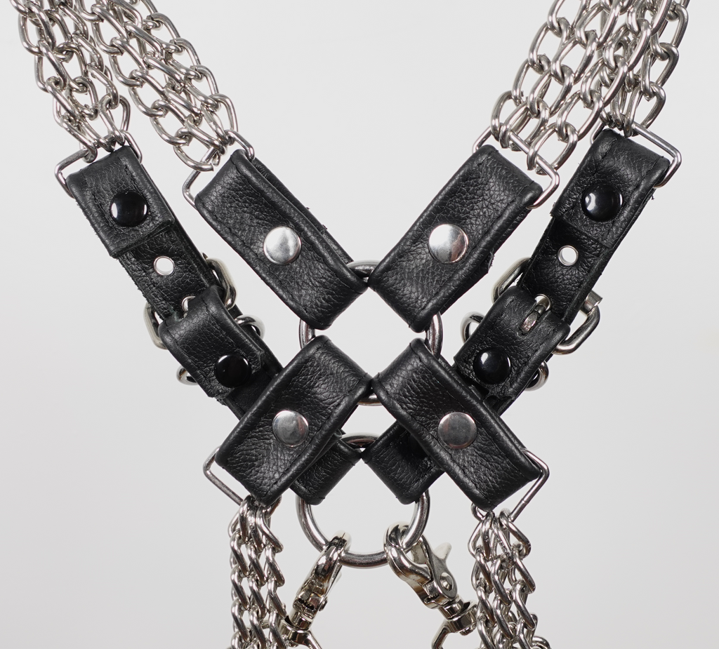 E.BullDog | Renslow Chain | #11