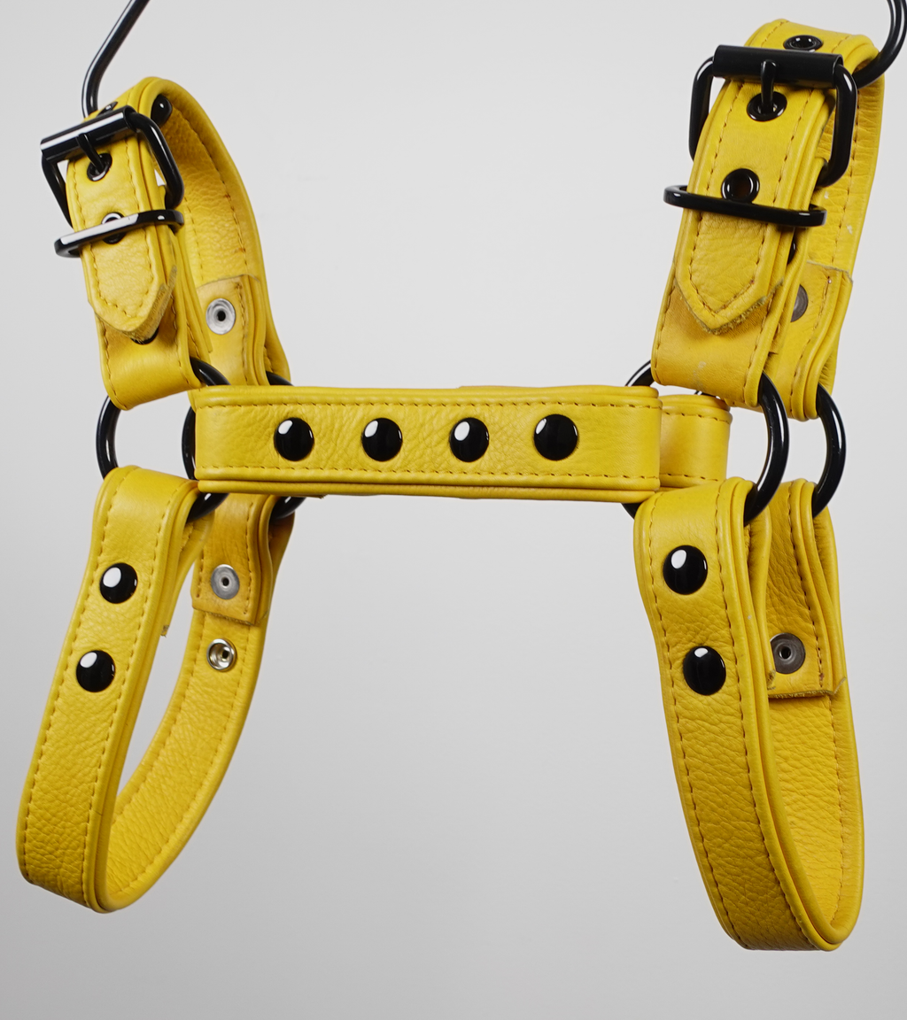 Bulldog 3