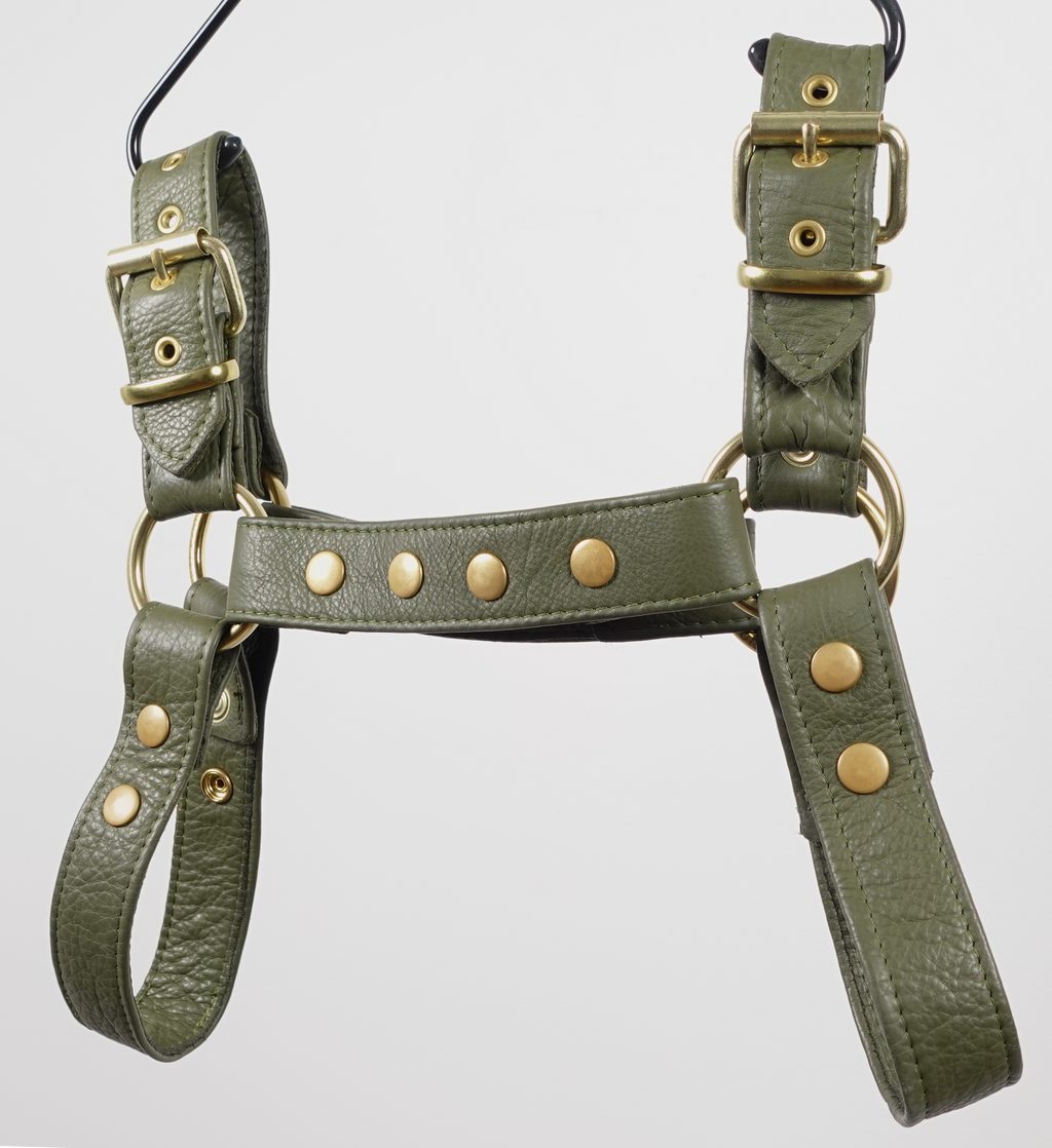 Bulldog 1 | Daddy B's Harness